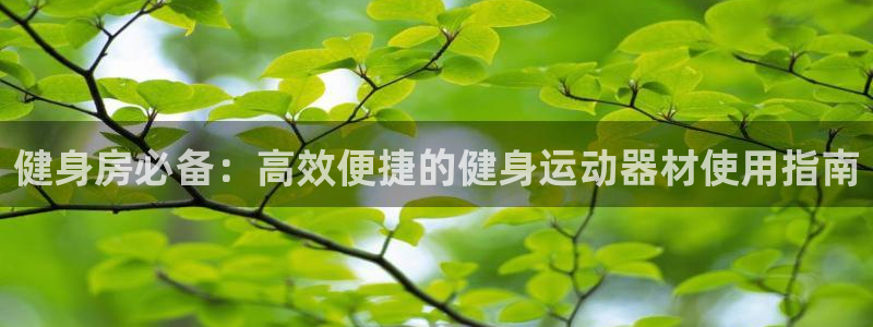 yy易游体育官网下载平台是正规平台吗：健身房必备：高