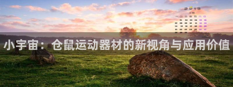yy易游体育官网下载招商电话地址查询：小宇宙：仓鼠运