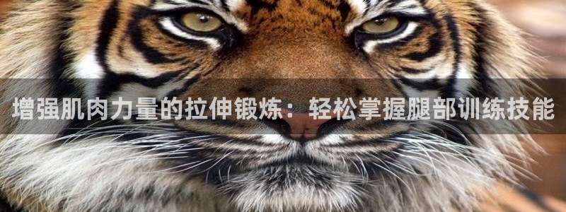 海南yy易游体育官网下载：增强肌肉力量的拉伸锻炼：轻