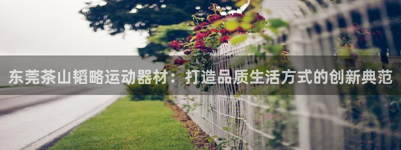 yy易游体育官方正版app娱乐是那个系列的台子：东莞