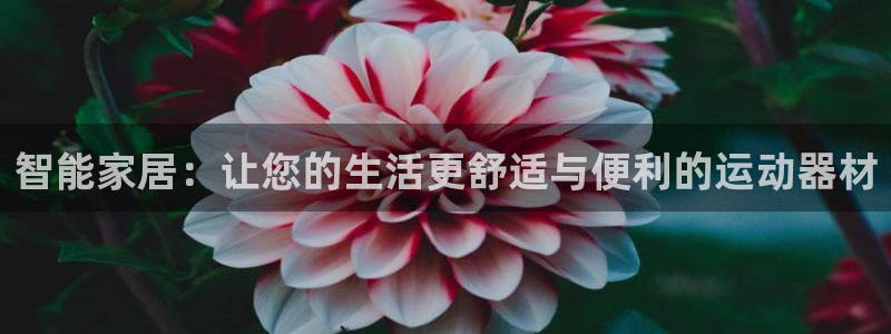 yy易游体育官网下载招商电话是多少：智能家居：让您的