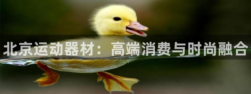 yy易游体育官方正版app娱乐下载：北京运动器材：高