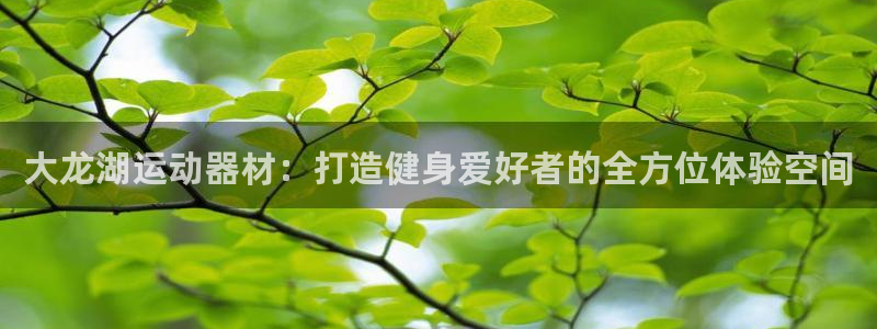 yy易游体育官网下载招商电话号码：大龙湖运动器材：打造健身爱