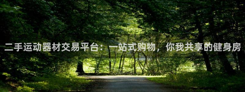 yy易游体育官方正版app集团：二手运动器材交易平台：一站式