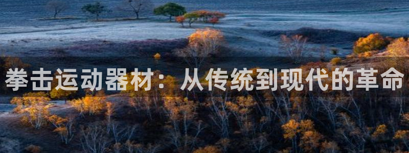 yy易游体育官网下载是干嘛的公司：拳击运动器材：从传统到现代