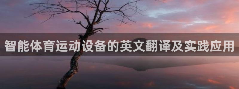 必威betway西汉姆联