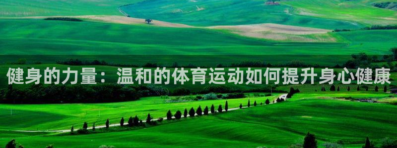 必威betway西汉姆联