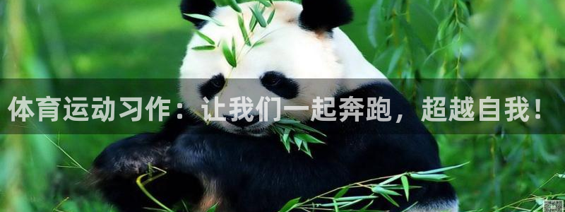 betway西汉姆联官网：体育运动习作：让我们一起奔跑，超越自我！