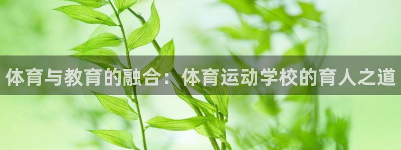 betway西汉姆联官网：体育与教育的融合：体育运动学校的育人之道