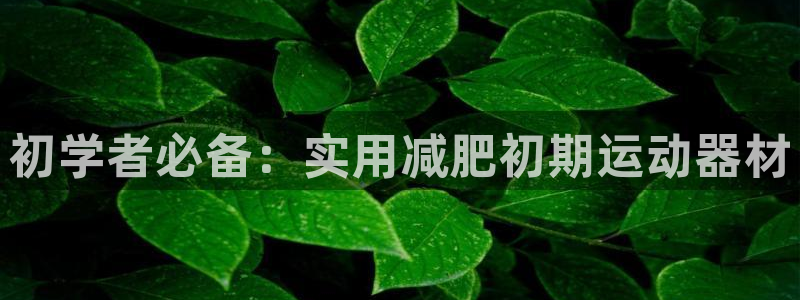 yy易游体育官网下载招商电话号码查询：初学者必备：实用减肥初
